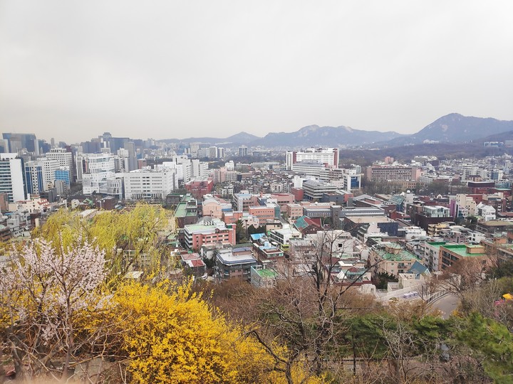 도시의 풍경