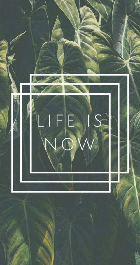 Life is now❤