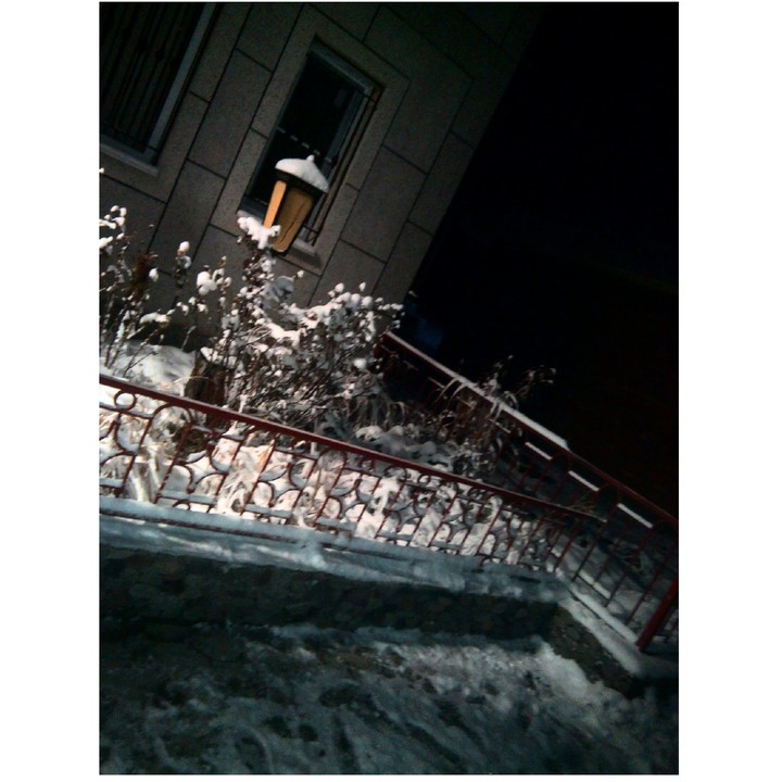winter