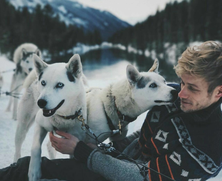 white dogs