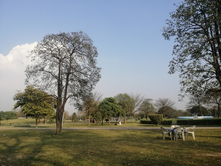 nature