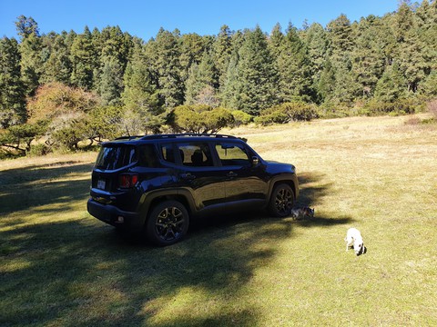 Jeep