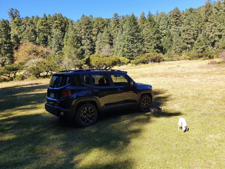 Jeep