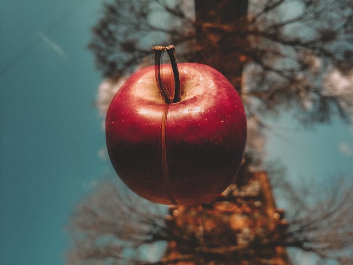 Apple-lover