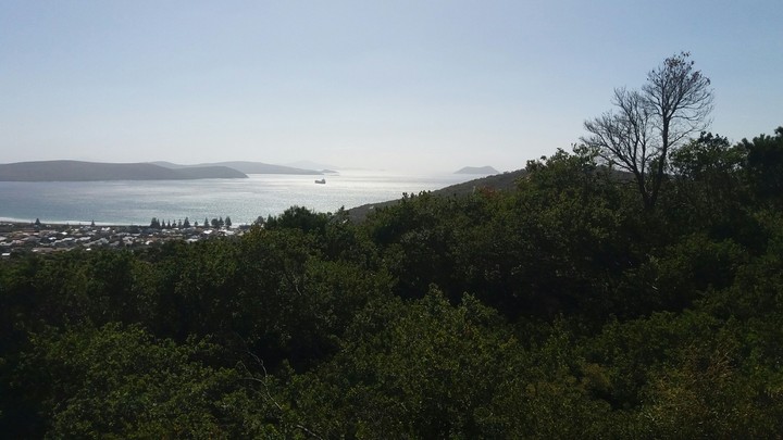 ocean
