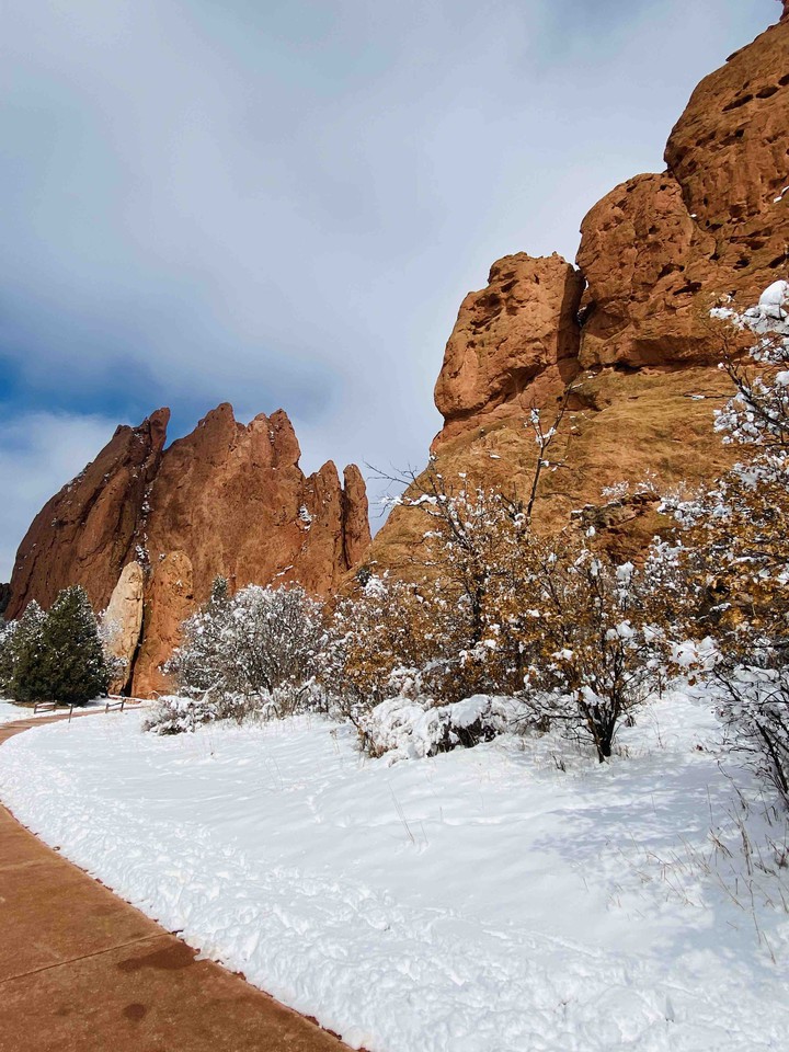 Colorado Snow