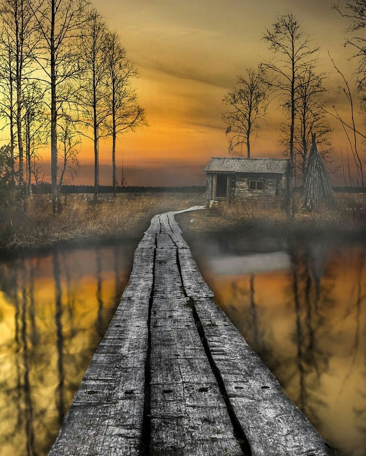bridge