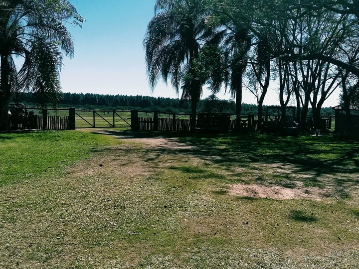 Corrientes