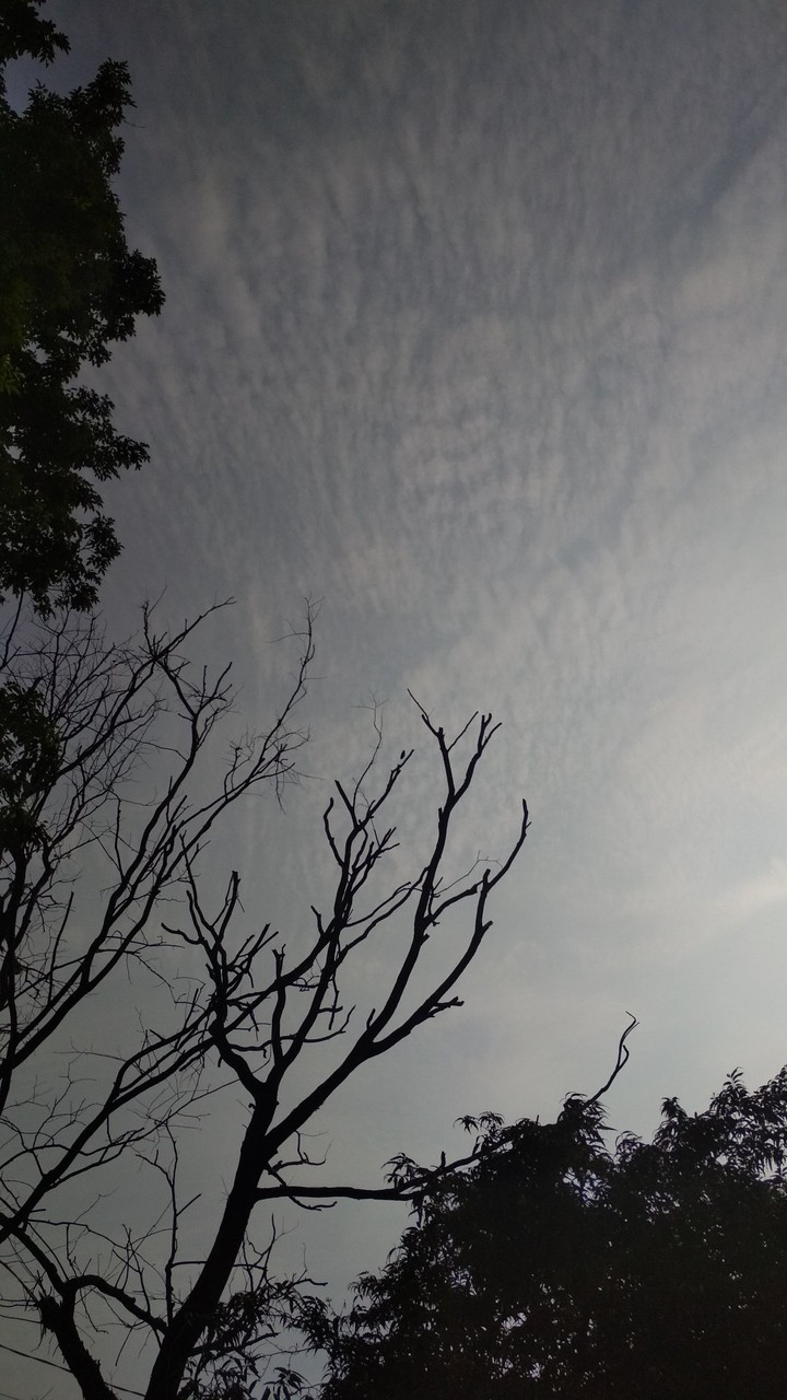 Awan Sore
