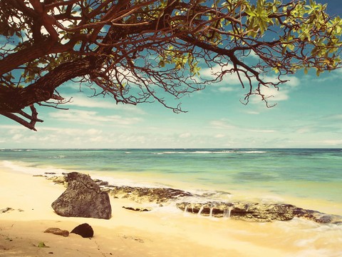 Lonely Nature