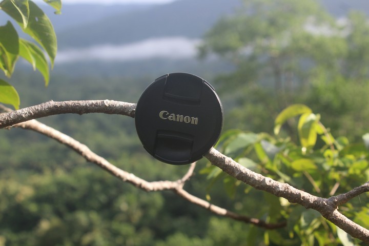 canon love