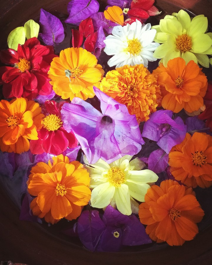 Flowers