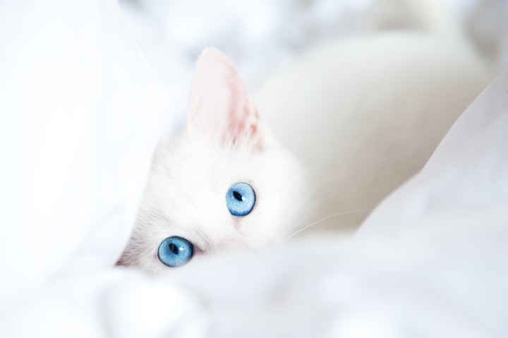 cute
