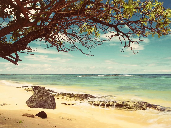 Lonely Nature