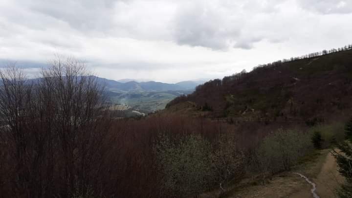 Transcarpathia