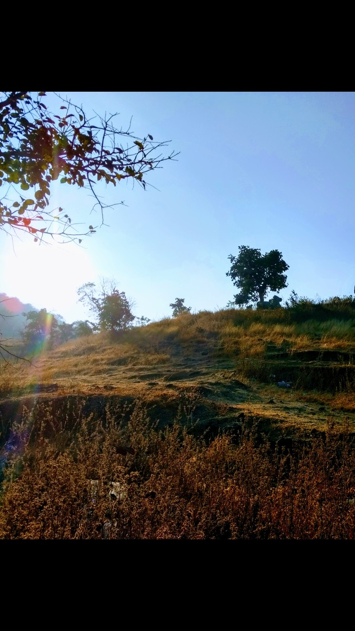 mountains