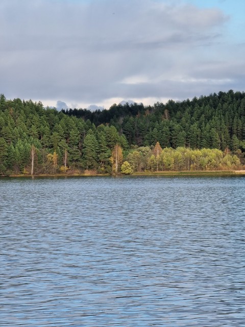 plant, landscapes Hintergrundbilder