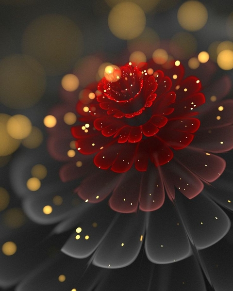 sfondi flower, moisture