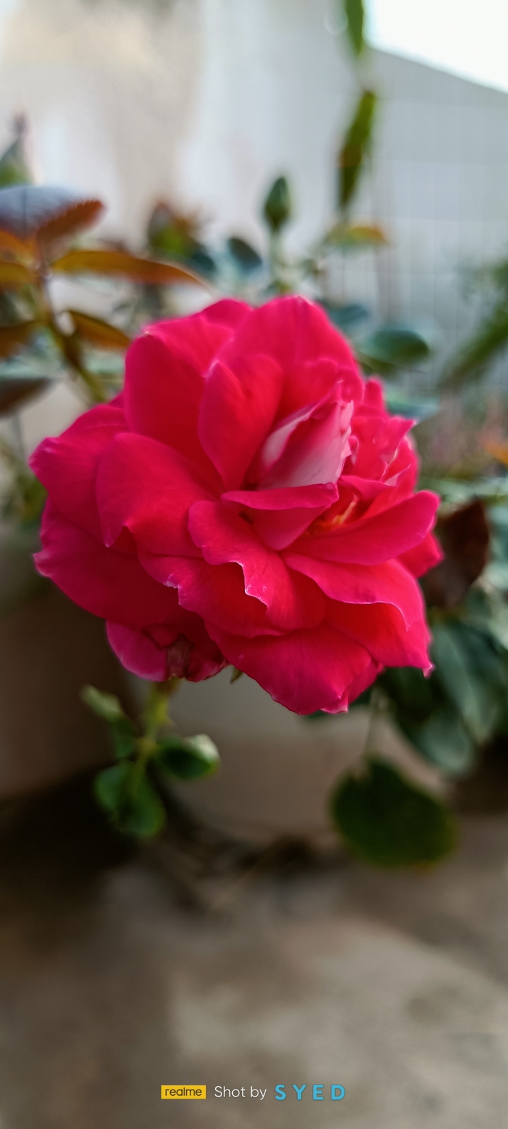 beautiful nature