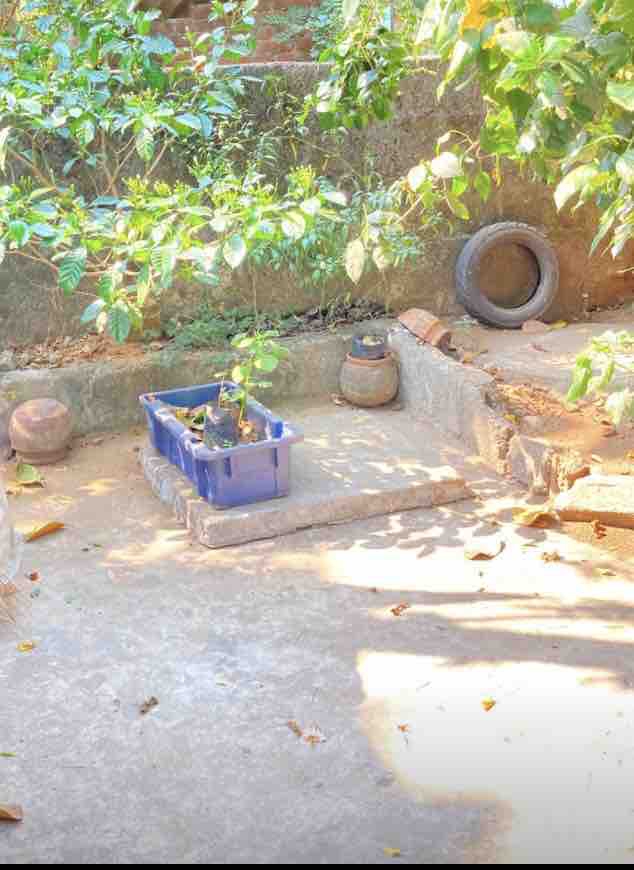 a typical Indian lawn