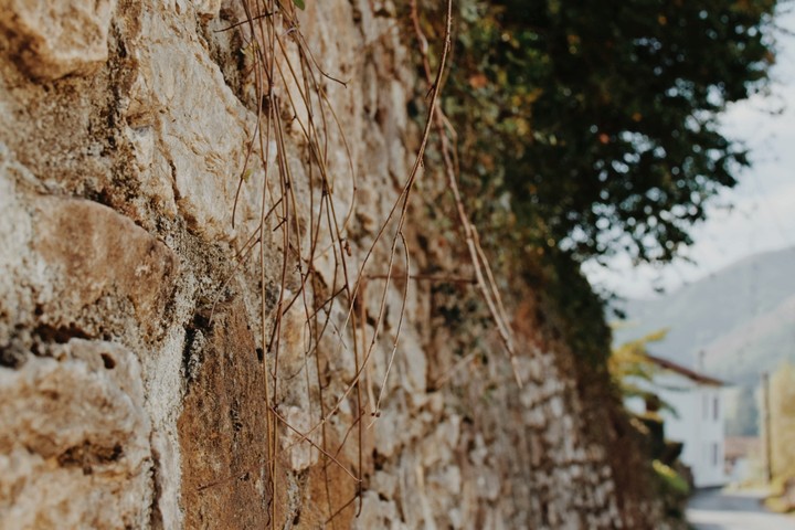 flowered wall 
