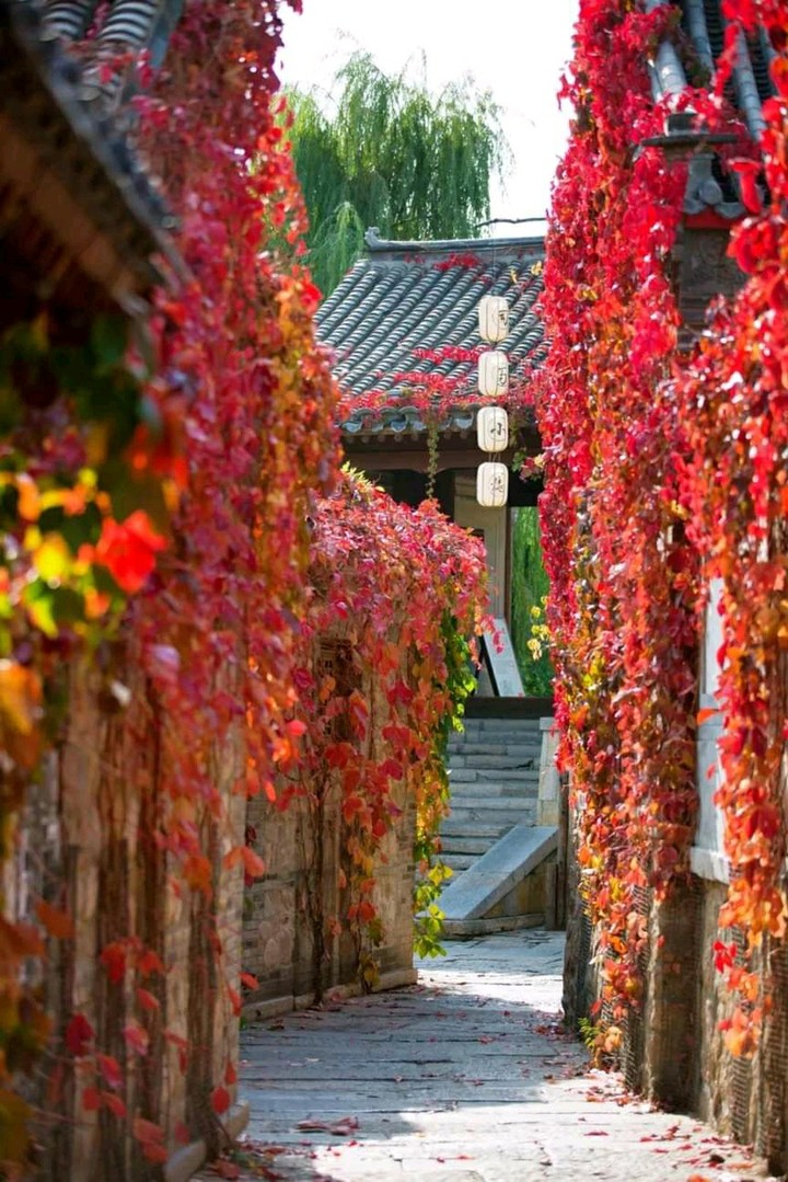 incredible china