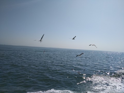 sea