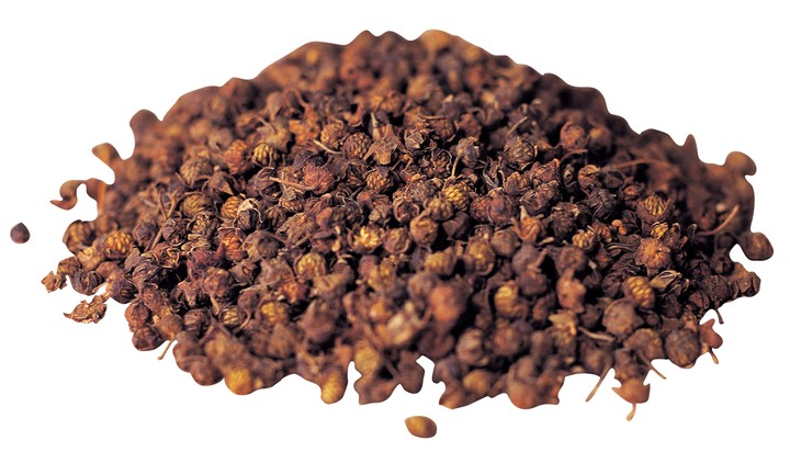 의학