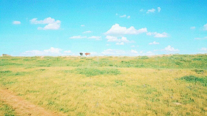 mongolia