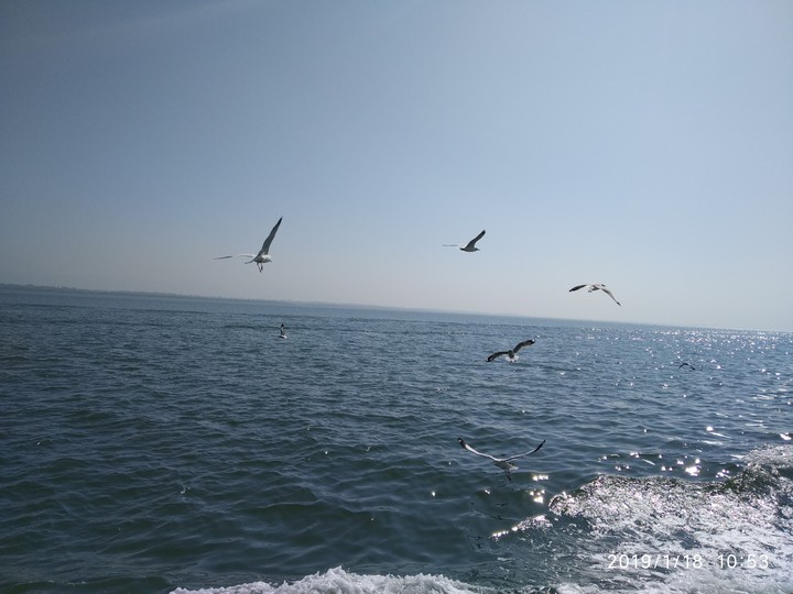 sea