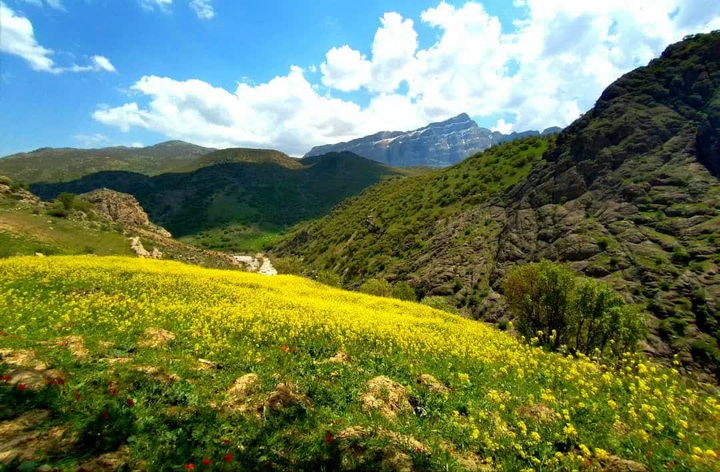 طبیعت درود