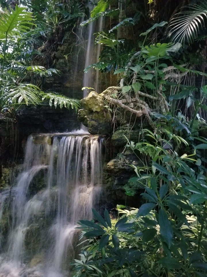 Tropical Falls