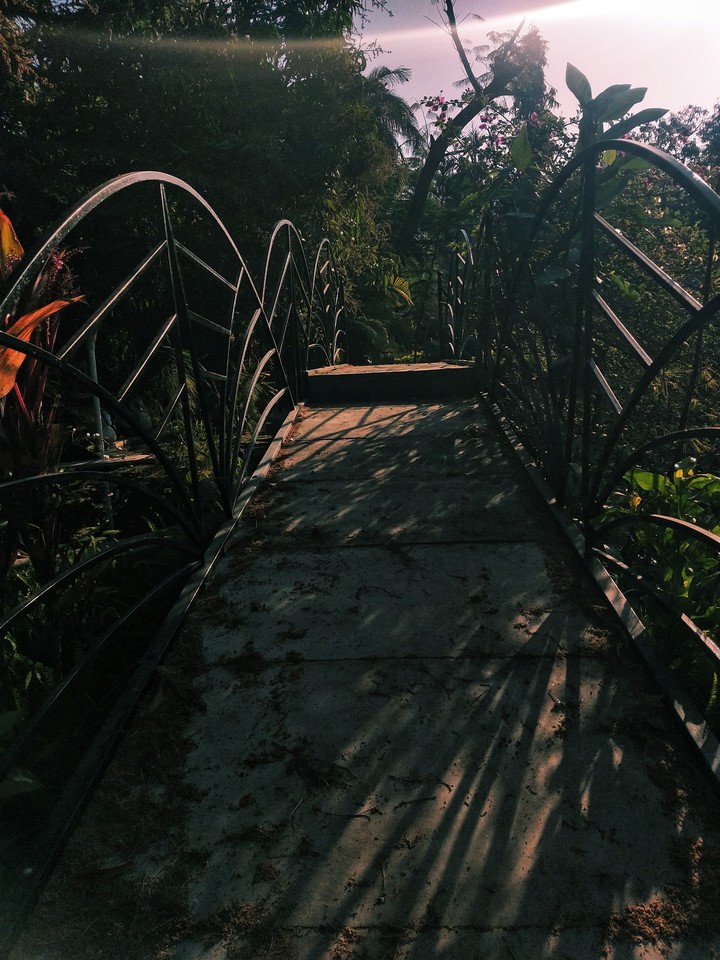 bridge to nowhere