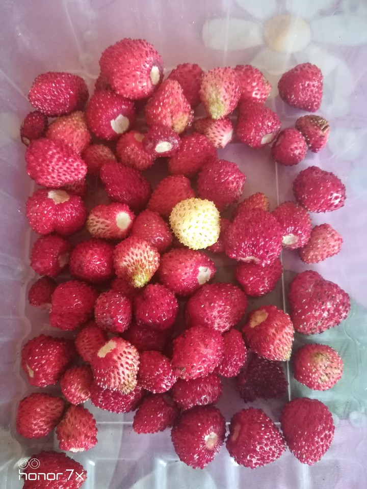 еда