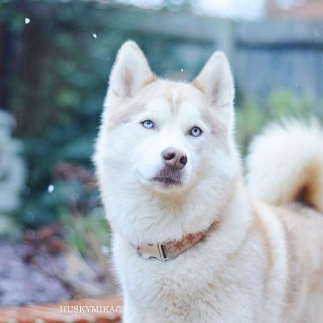 ?