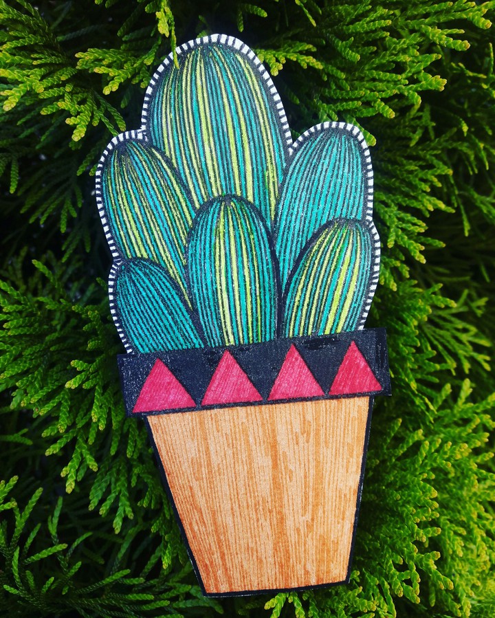 Кактус // Cactus