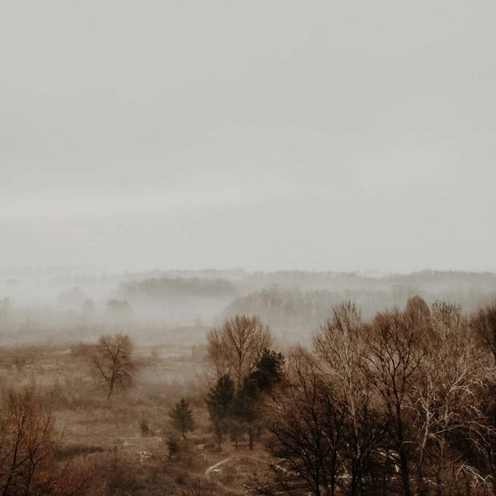Туман, лишь бы в нём не остался я