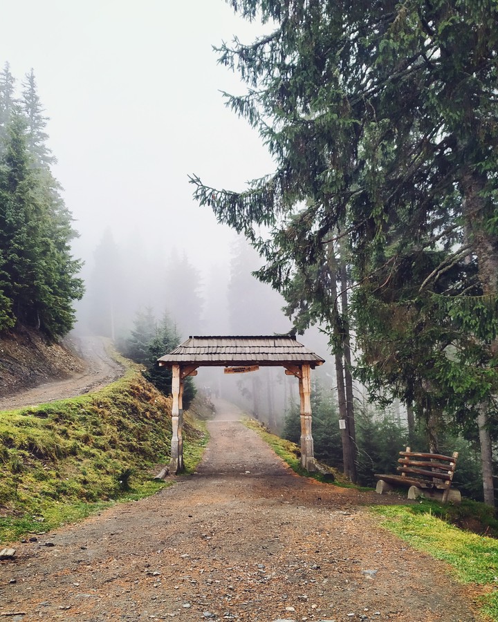 Heaven's gate