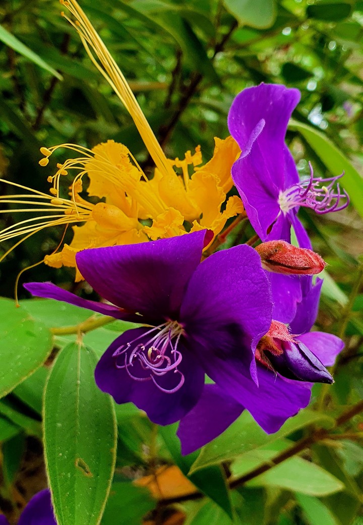 Bright colors