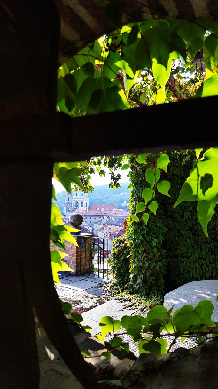 Ausblick auf Prag