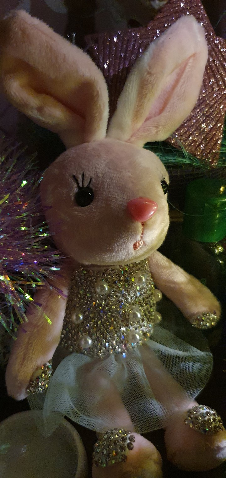 rabbit