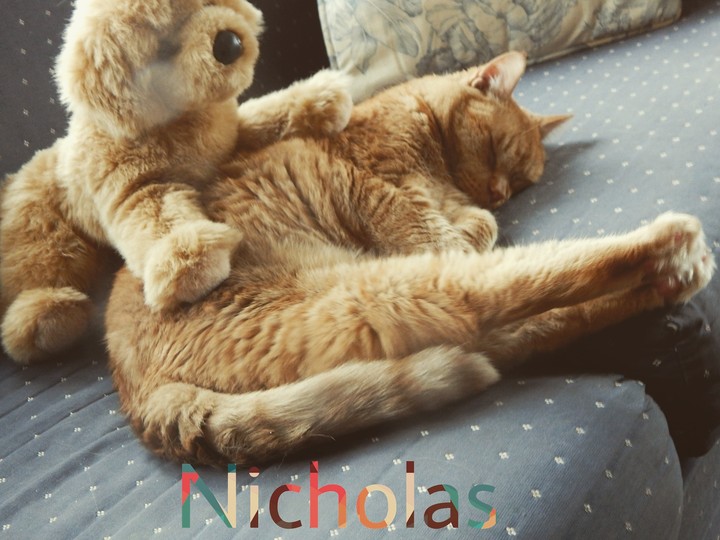 Nicholas