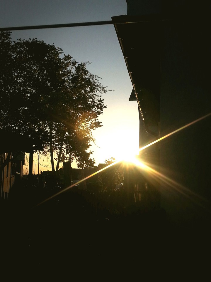 View from my garden at sunset