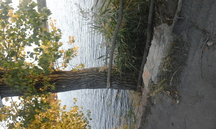 река