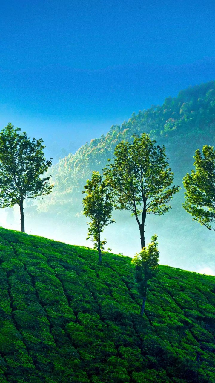 Green Sites...
