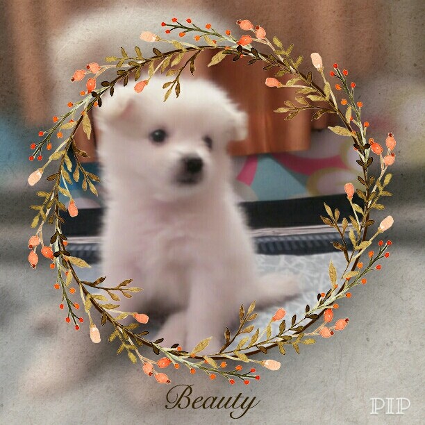 Missy my love