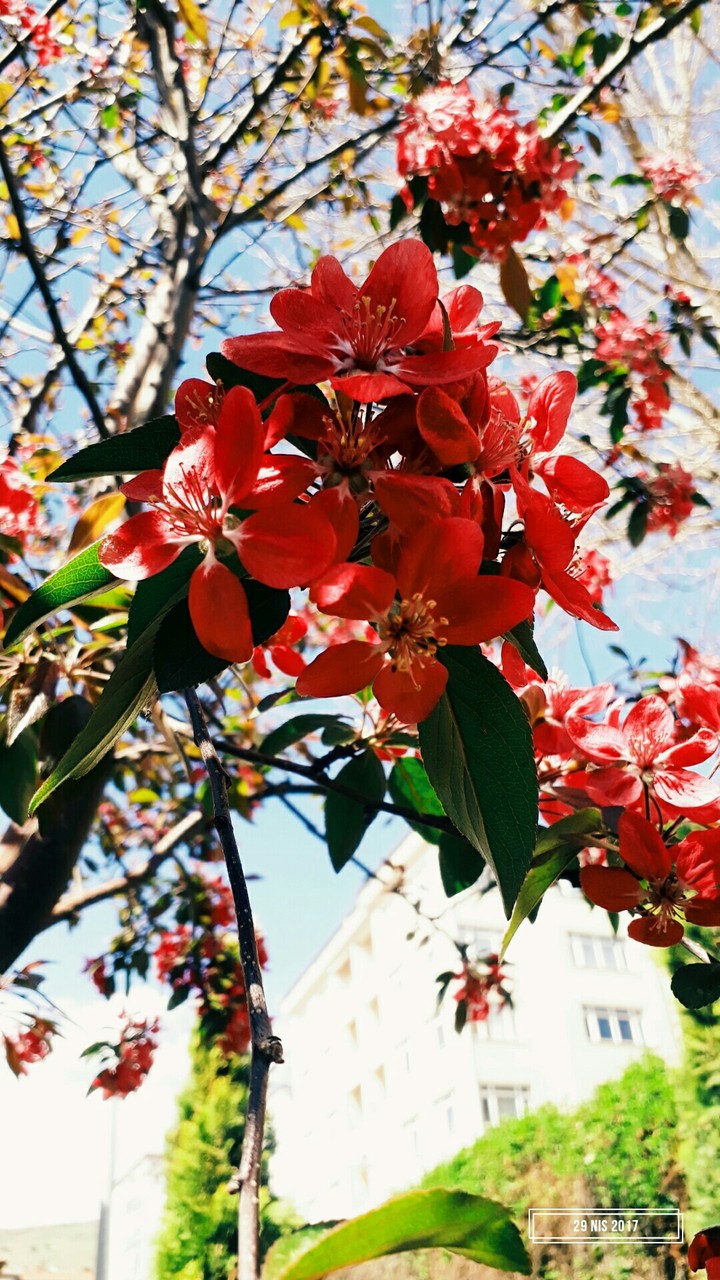 beautiful spring