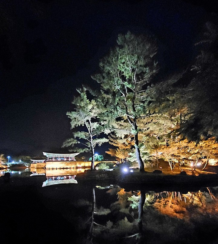 월지