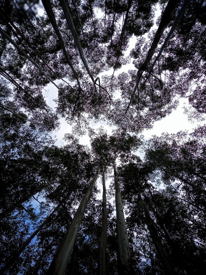sky and nature
