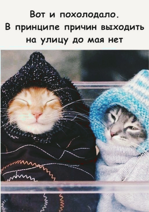 хахаха